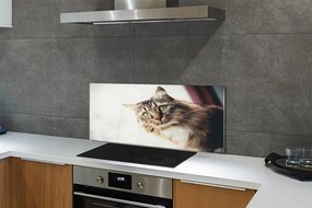 Panel Szklany Kot maine coon