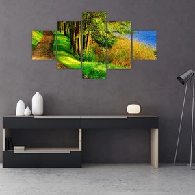 Obraz szlaku wzdłuż wody (125x70 cm)