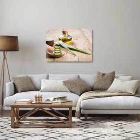 Obraz na szkle - Aloes (70x50 cm)