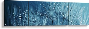 Obraz - Krople rosy (170x50 cm)