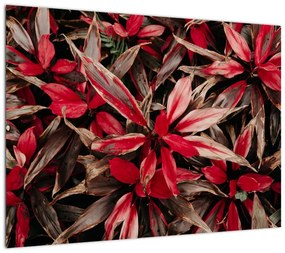 Obraz na szkle czerwonych płatków (70x50 cm)