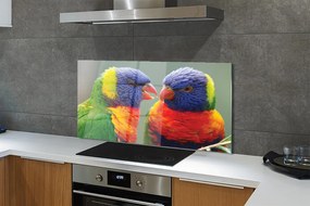 Panel szklany do Kuchni Barwny Świat Egzotycznych Ptaków