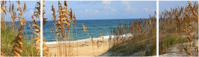 Obraz - Plaża (170x50 cm)