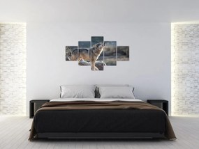Obraz - Wyjący Wilk (125x70 cm)