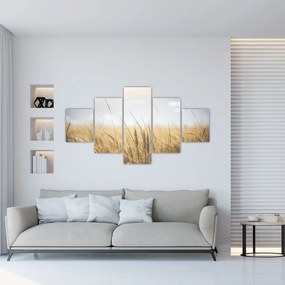 Obraz ziarna (125x70 cm)