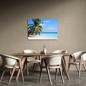 Obraz na szkle - palma na plaży (70x50 cm)