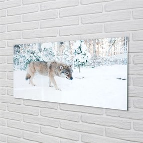 Panel Szklany Wilk zima las