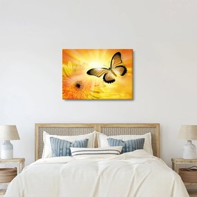 Obraz - Żółty motyl z kwiatkiem (70x50 cm)