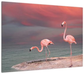 Obraz na szkle flamingów (70x50 cm)