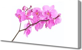 Obraz canvas Pastelowy Ogród Kwiatowy