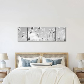 Obraz - Trawa z ogonkiem króliczka Boho (170x50 cm)