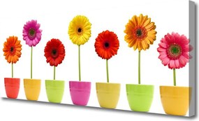 Obraz canvas Bukiet Polnych Kwiatów