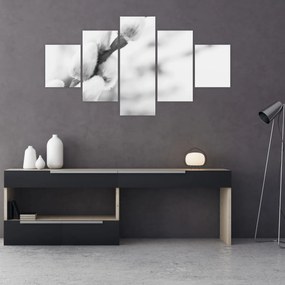 Obraz - Początek wiosny (125x70 cm)