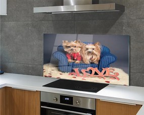 Szklany Panel Urocze Pieski Rasy York