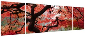 Obraz czerwonego klonu japońskiego, Portland, Oregon (170x50 cm)