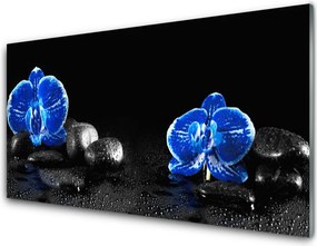 Panel Szklany do Kuchni Kwiat Lotosu Na Kamieniach