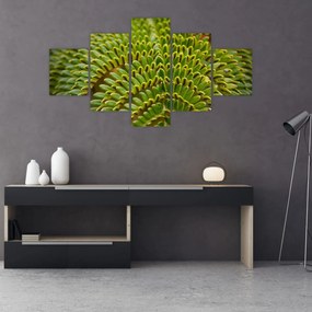 Obraz - Paproć (125x70 cm)