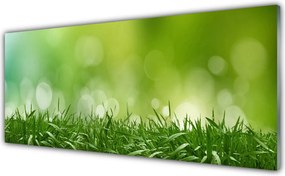 Panel Szklany Świeżość Zielonej Natury