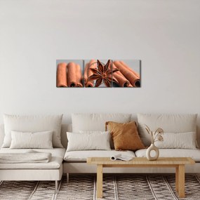 Obraz cynamonu (z zegarem) (90x30 cm)