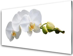 Szkło Ozdobne do Kuchni Dekoracyjny Bukiet Botaniczny