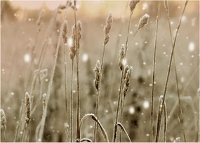 Obraz na szkle - Harmonious Meadow (70x50 cm)