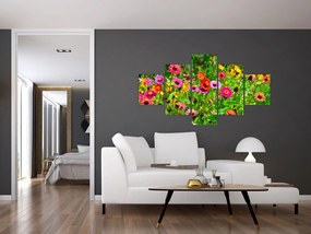 Obraz kwiatów polnych (125x70 cm)