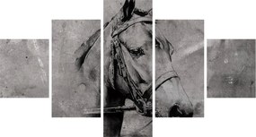 Obraz - Portret konia (125x70 cm)