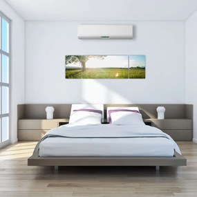 Obraz letniej łąki (170x50 cm)