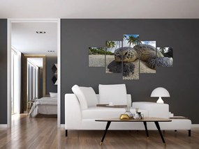 Obraz żółwia (125x70 cm)