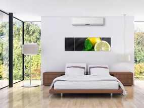 Obraz cytryn i mięty na stole (170x50 cm)