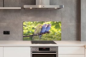 Panel Szklany Tropikalna Para na Drzewie