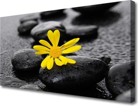 Obraz canvas Harmonia Zen: Róże i Skały
