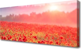 Obraz na płótnie Sielska Łąka w Kwiatach