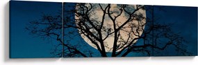 Obraz drzewa z pełnią księżyca (170x50 cm)