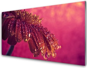 Panel Szklany Majestatyczne Drzewo w Polu