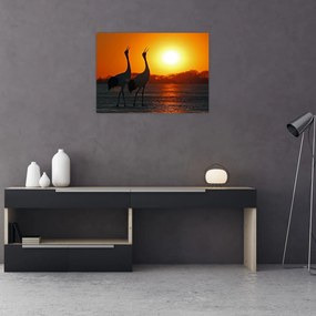 Obraz ptaków o zachodzie słońca (70x50 cm)