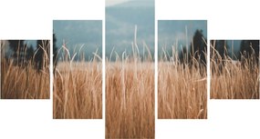 Obraz - szczegół łąki (125x70 cm)