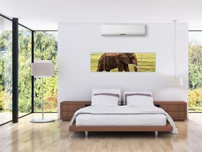 Obraz słonia (170x50 cm)