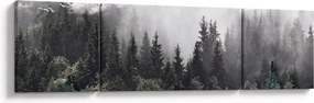 Obraz - Las z ilustrowanymi elementami (170x50 cm)
