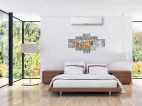 Obraz - Lis (125x70 cm)