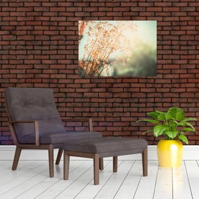 Obraz - Rośliny po deszczu (70x50 cm)