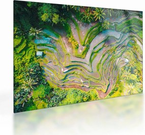 Obraz na szkle pól ryżowych z lotu ptaka (70x50 cm)