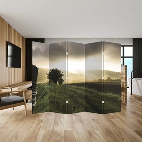 Parawan - Łąka (210x170 cm)