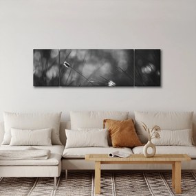 Obraz - Trawa łąkowa (170x50 cm)