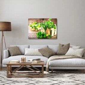 Obraz świeżej mięty (70x50 cm)