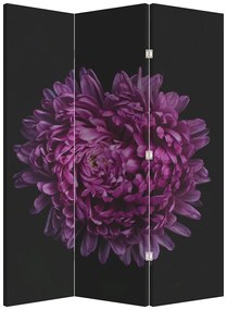 Parawan - Fioletowy kwiat (126x170 cm)
