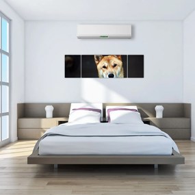 Obraz psa (170x50 cm)