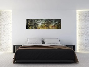 Obraz wschodu słońca (170x50 cm)