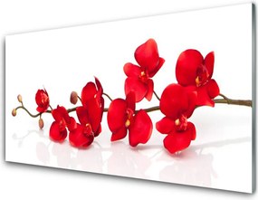 Panel Szklany Pełnia Kwiatowej Natury