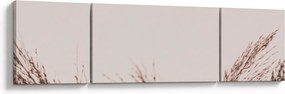 Obraz - Suszona trawa (170x50 cm)